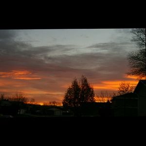 Meet your Posher, Jess